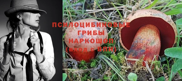 прущие грибы Алзамай