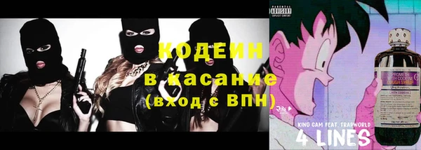 прущие грибы Алзамай