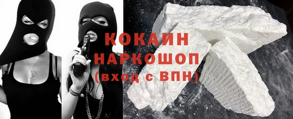 прущие грибы Алзамай