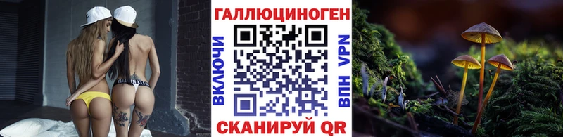 Псилоцибиновые грибы мицелий  Пустошка 